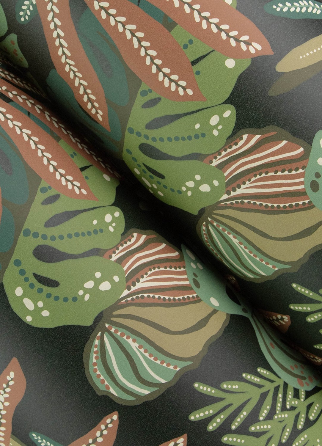 Alocasia Multicolor Tropical Foliage Wallpaper