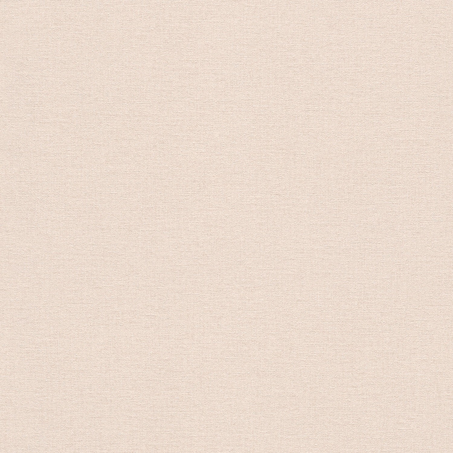 Peonies 448504