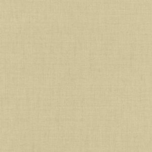 Florentine IV 484687