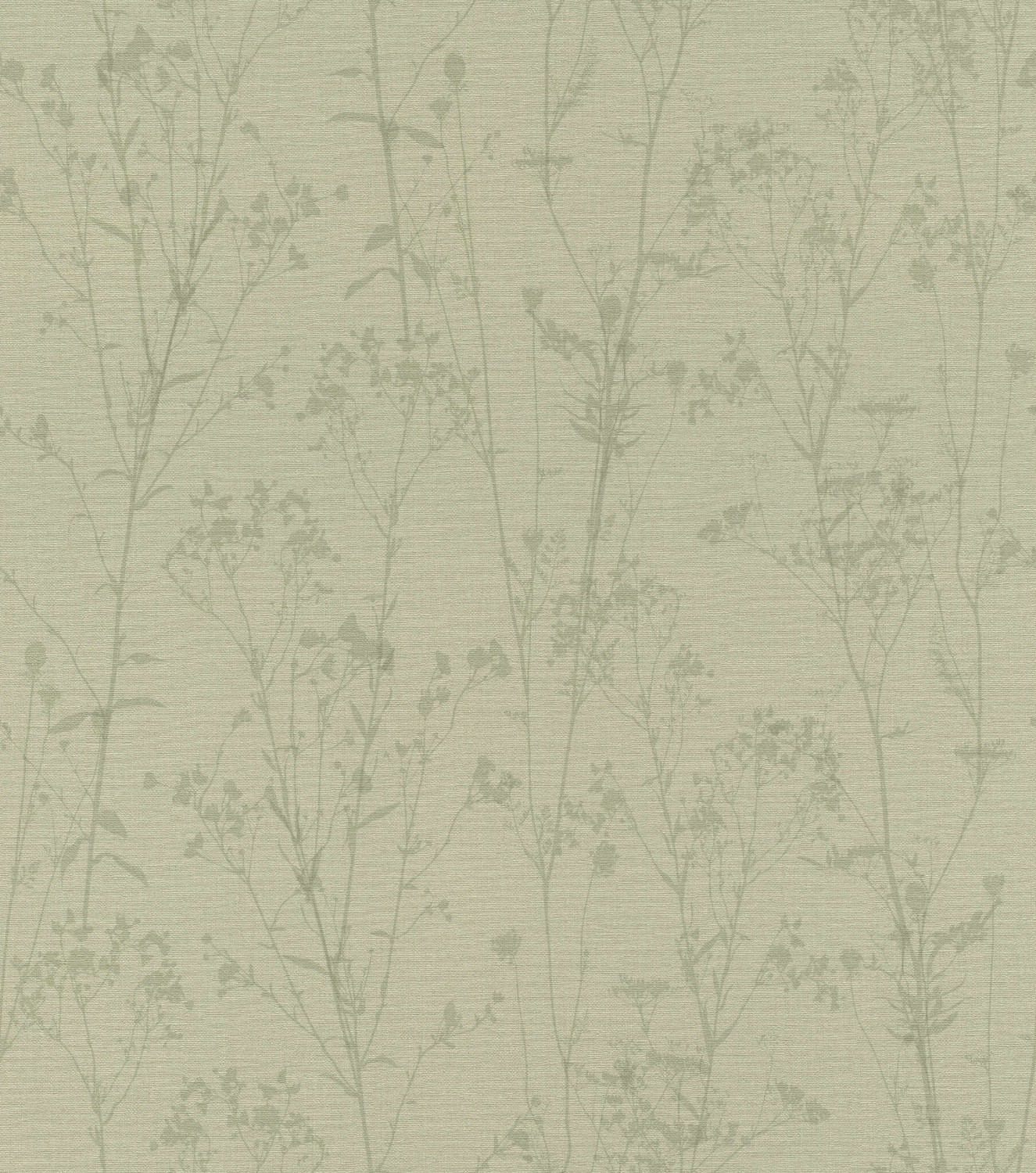 Peonies 582123