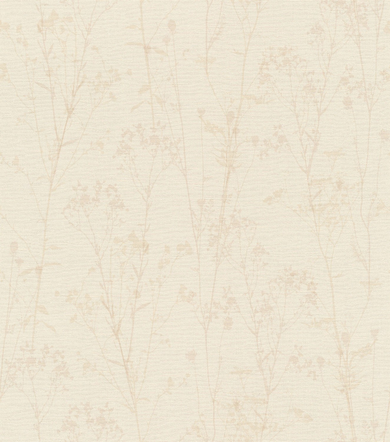 Peonies 582130