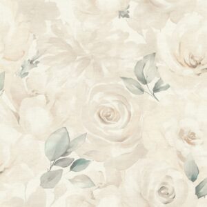 Peonies 582321