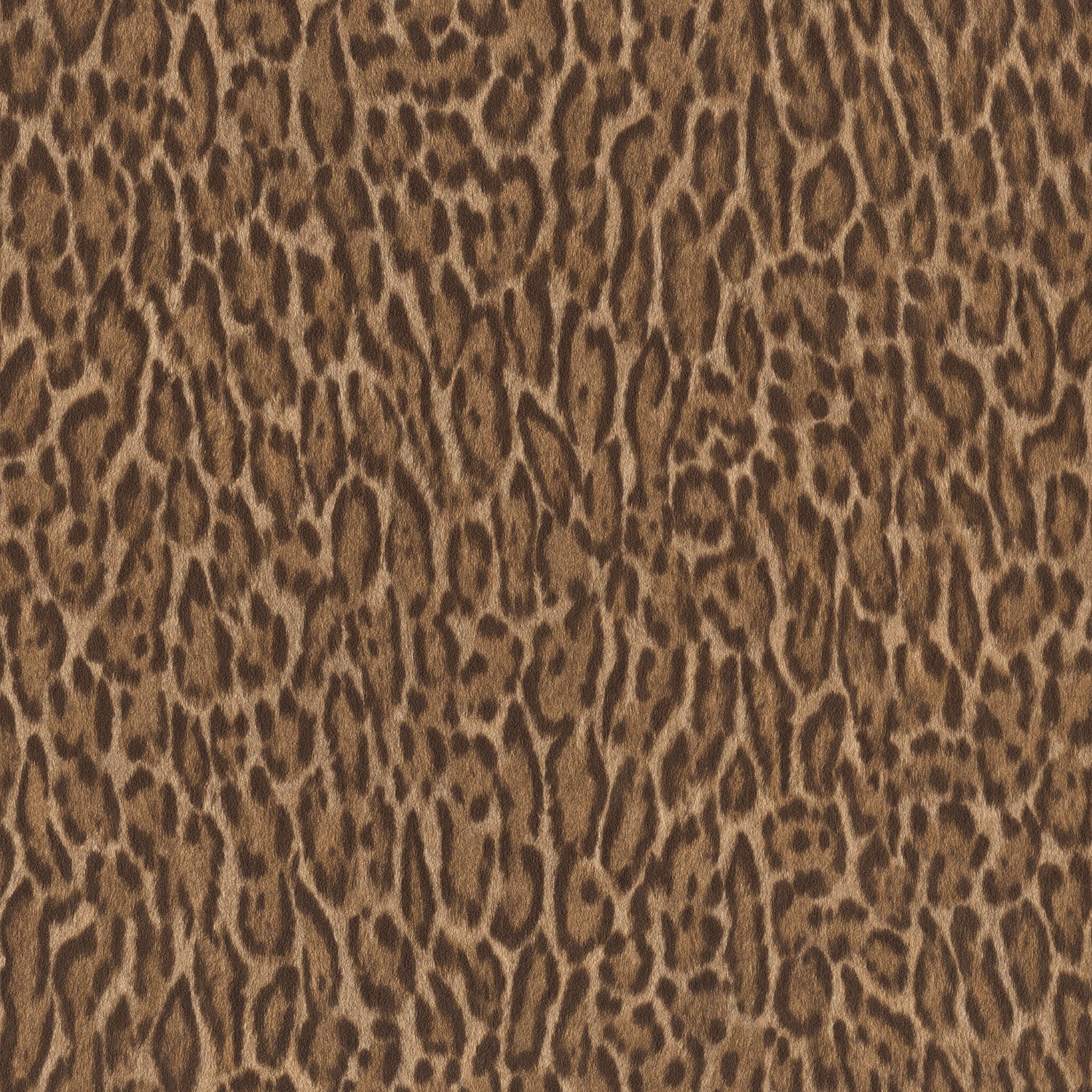 Pantera Brown