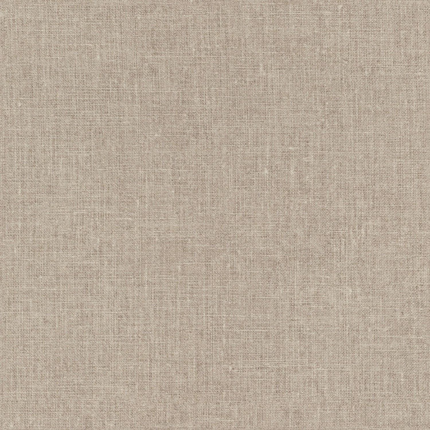 Linor Brown