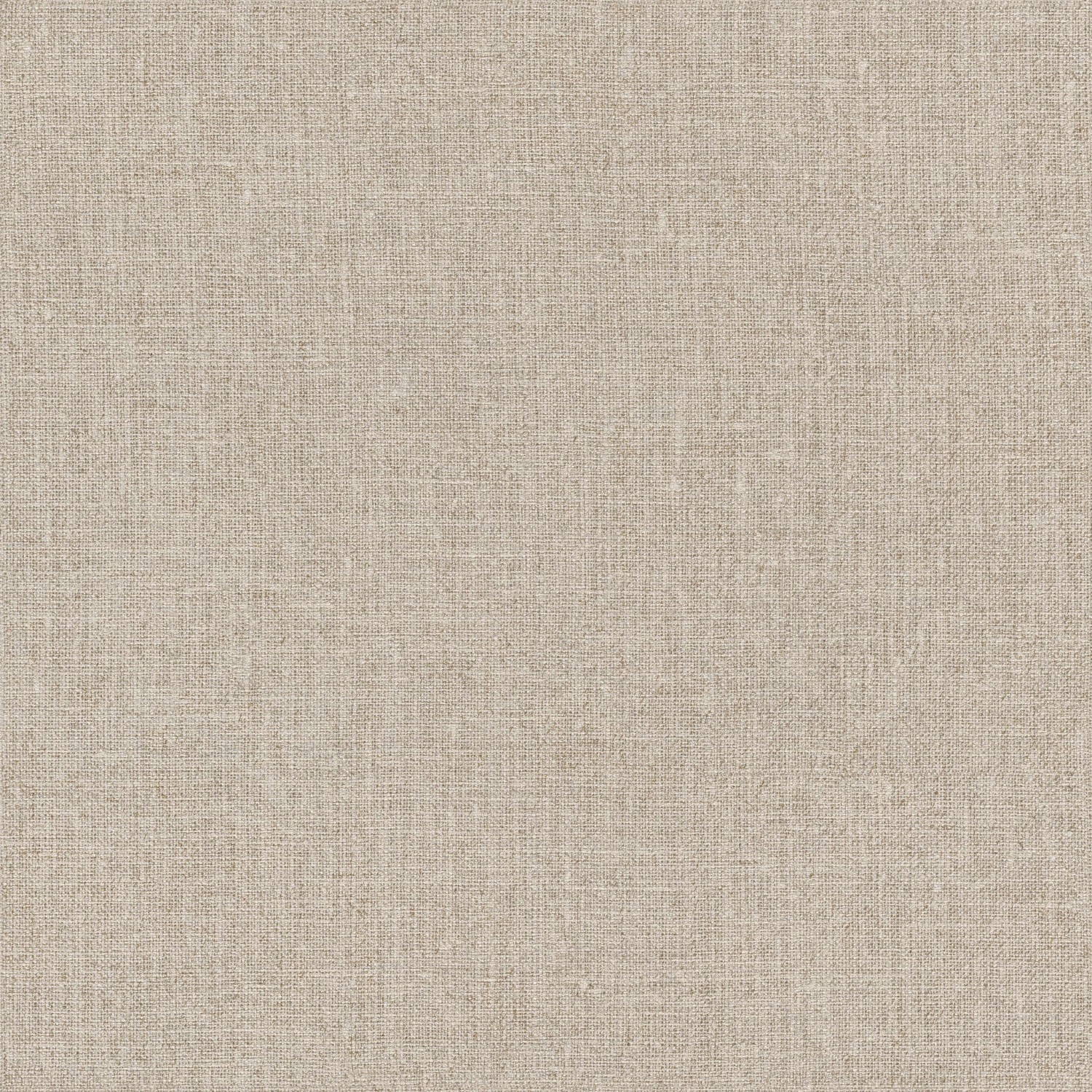 Linor Grey 613889