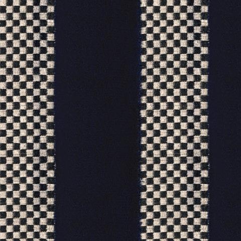 Designtex Racetrack swatch 8240-751