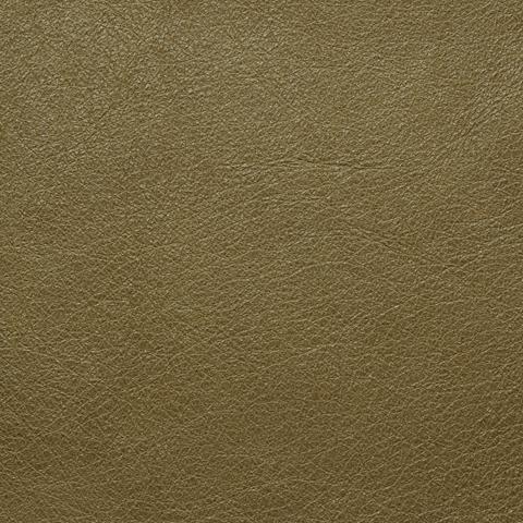 Brusio leather swatch, Sedano, olive