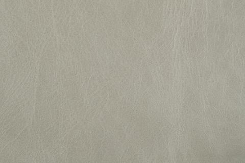 Britannia leather swatch, Fossil