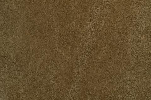 Britannia leather swatch, Olive