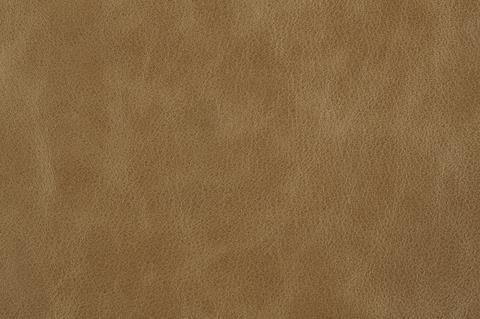 Britannia leather swatch, Parchment