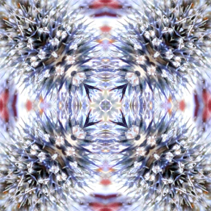 A kaleidoscopic blue and white Newmor pattern