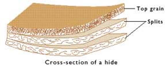 Drawing of a hide in cross-section, showing the top grain and the splits