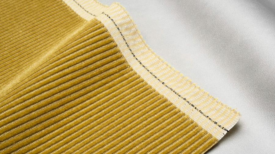 Close-up of yellow Velvet Corduroy