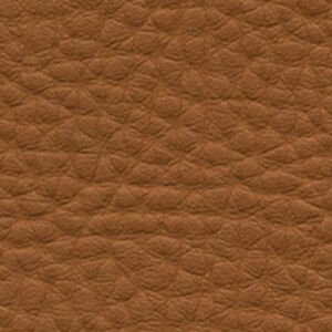 skai Parotega NF swatch F6412036