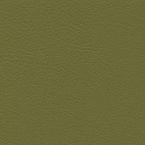 skai VyP swatch F7901008