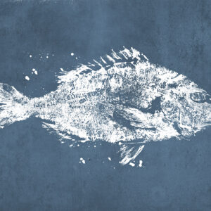Poissons M2501-2