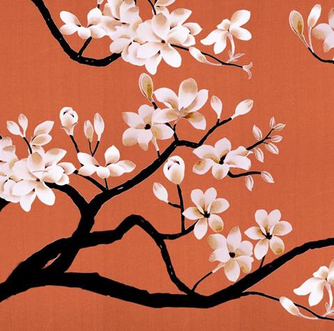 Misha Magnolia Tree: white blossom on dark branches over coral