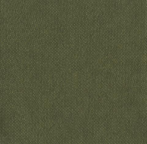 Newmor Prism swatch PSM-008, olive green