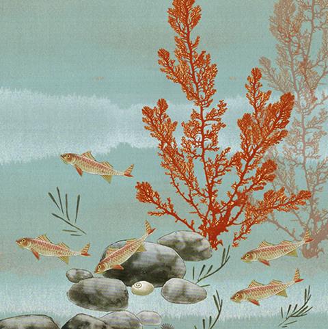 Misha Seabed: red coral and fish on pale teal
