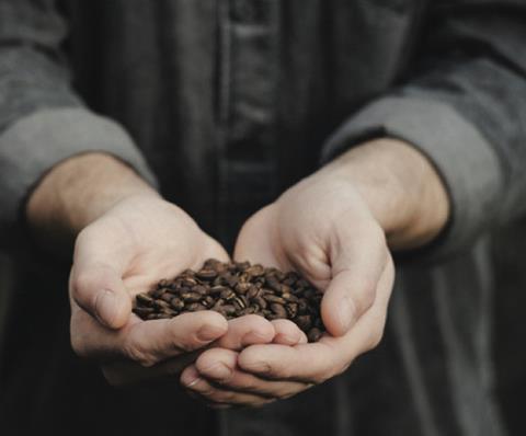 Hands holding coffee beans