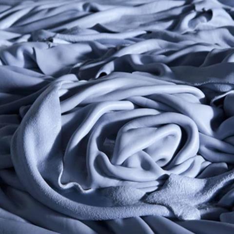 Folds of hide in the pale blue wet blue stage
