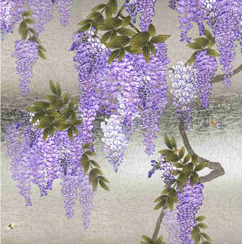 Misha Wisteria: hanging purple wisteria on grey
