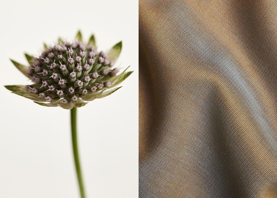 A pale flower head beside brown and grey Svensson Alter fabric