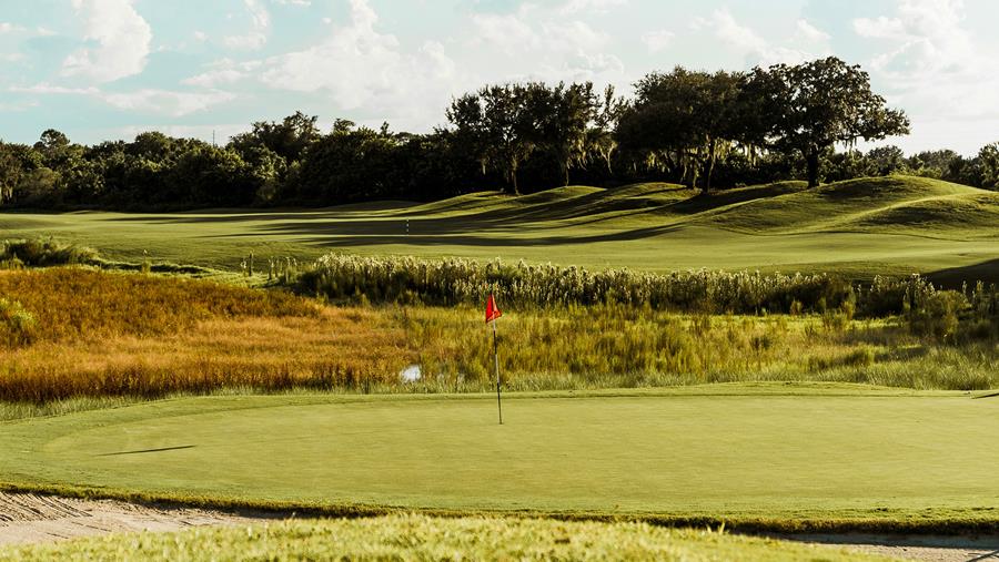 Golf course fairway and green