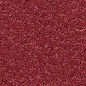 skai Sotega swatch F5070638