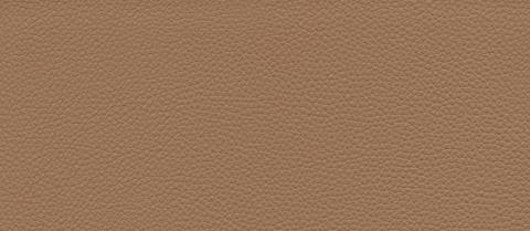 skai swatch F6471005, tan