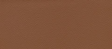 skai swatch F6471007, brown