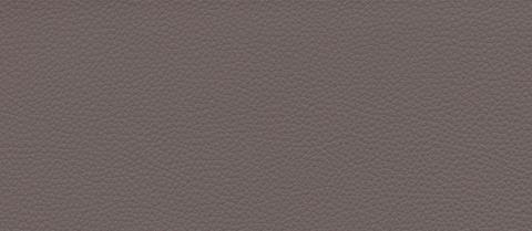 skai swatch F6471009, taupe