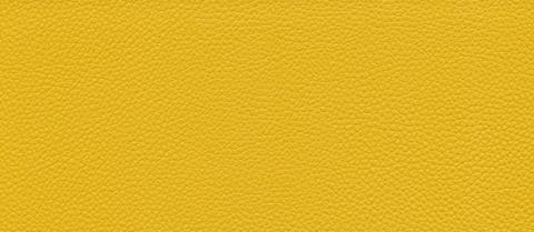 skai swatch F6471013, mustard