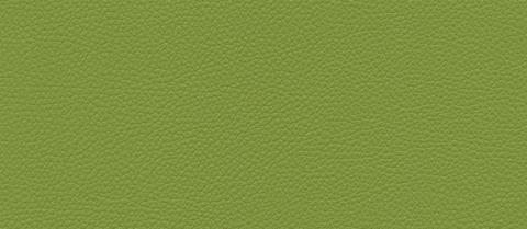 skai swatch F6471014, olive green