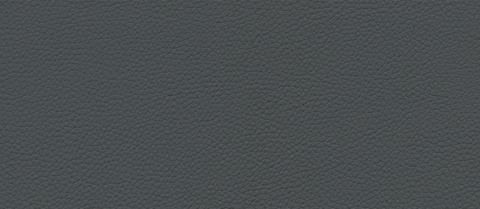 skai swatch F6471015, dark grey