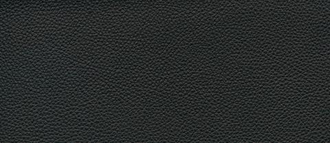 skai swatch F6471016, black
