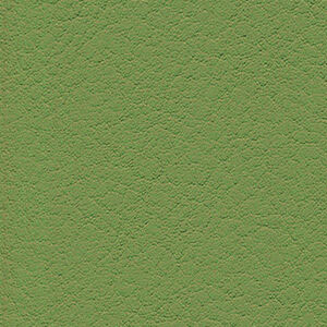 skai Evida swatch F6800079