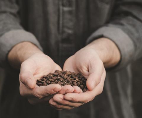 Hands holding coffee beans
