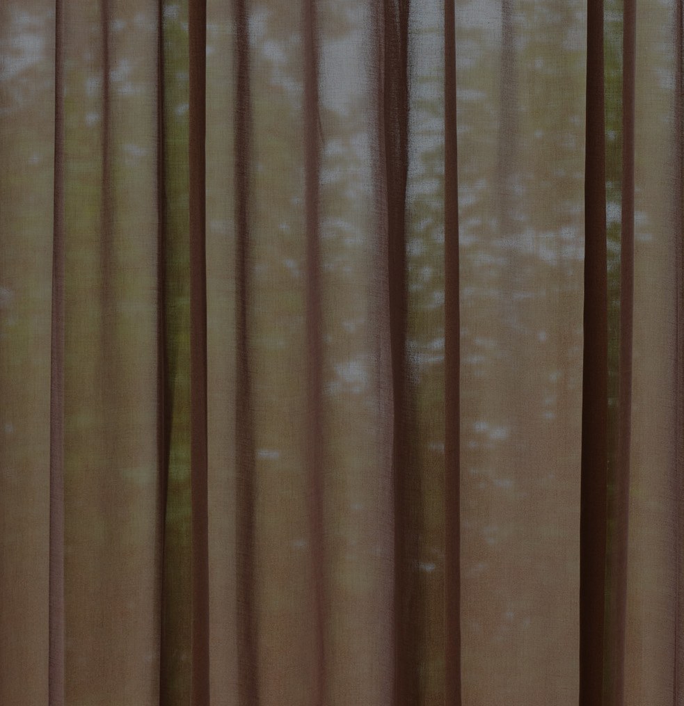 Sheer brown curtain in folds, trees showing through